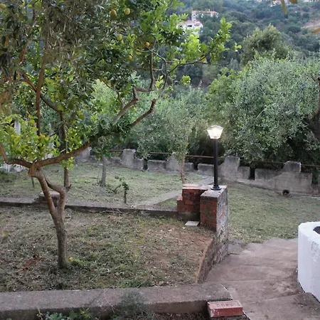 Pioppihouse ピオッピ